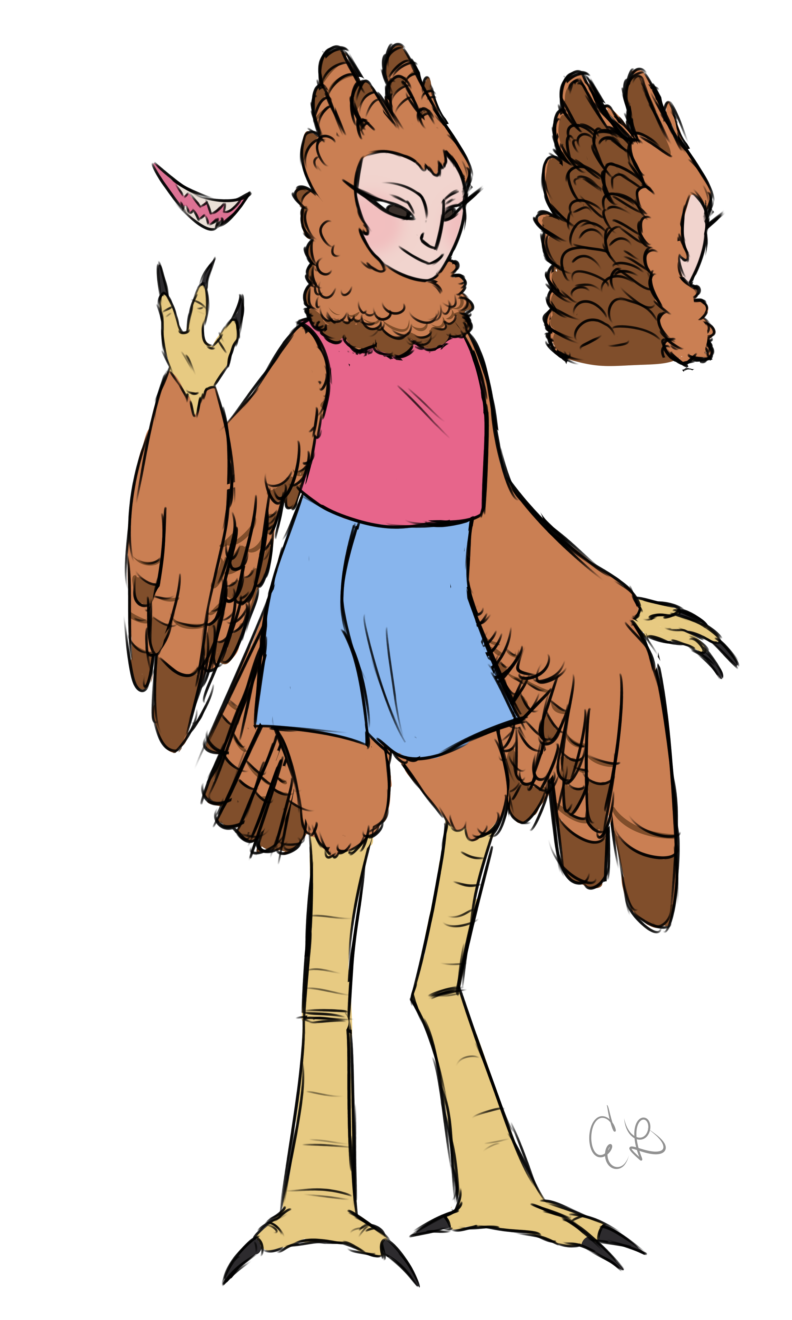 Colored sketch of Valentine. She is a harpy woman with a pale human face, bird legs and talons, and winged arms. Her feathers, which surround her face and cover all her head and back, are light brown with darker brown edges. She is wearing a sleeveless pink shirt and a blue wrap skirt.